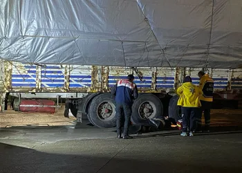 Arızalanan TIR’ın altında can verdi