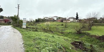 Çanakkale’de şap karantinası