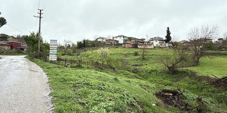 Çanakkale’de şap karantinası