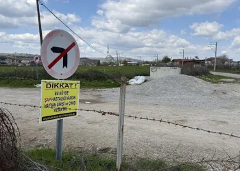 Çanakkale’de köye şap karantinası