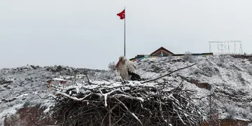 Leyleklere kar sürprizi