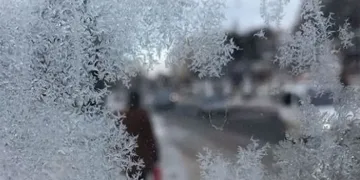 Bursa Valiliği’nden zirai don uyarısı