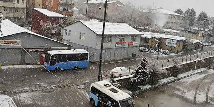 Nisanda lapa lapa kar yağışı