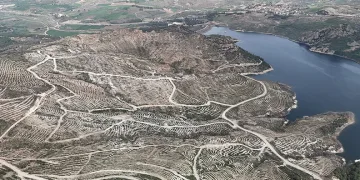Çanakkale’de yanan ormanlar yangına dayanıklı fidanlarla yeniden yeşerdi