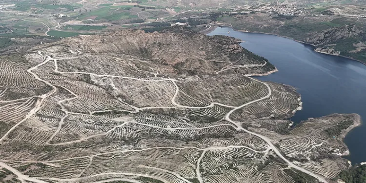 Çanakkale’de yanan ormanlar yangına dayanıklı fidanlarla yeniden yeşerdi