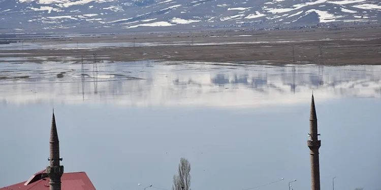 Kura Nehri taştı: Ardahan Ovası göle döndü