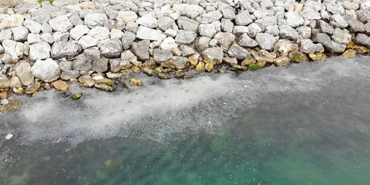 Moda Sahili’ni denizanası bastı