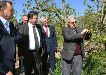 Erkan Aydın zirai don mağduru çiftçileri yalnız bırakmadı