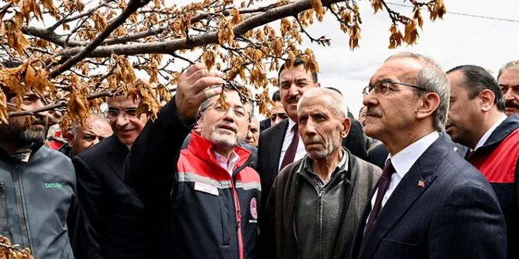 “Don zararı gören üreticilere destek sağlanacak”