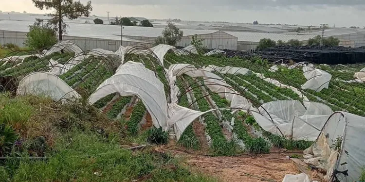Mersin’de fırtına etkili oldu, seralar zarar gördü