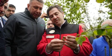 “Cumhuriyet tarihinin en büyük zirai don hadisesi”