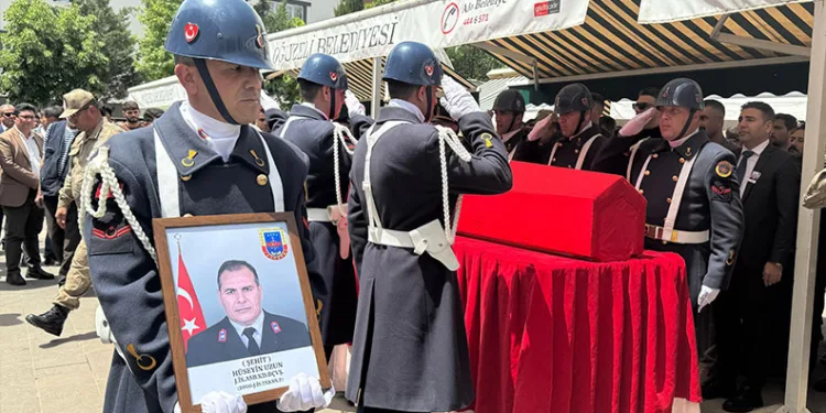 Kastamonu’da aracın çarptığı anne ve yavru ayı telef oldu