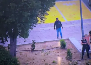 Kıbrıs Türklerine taşlı saldırı