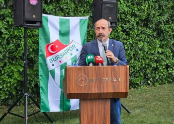 Bursa’da bir köye panik yaşatan yangın