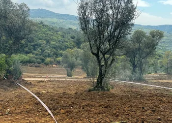 Tarım arazilerinizi koruyun, hisseli satışlara dikkat