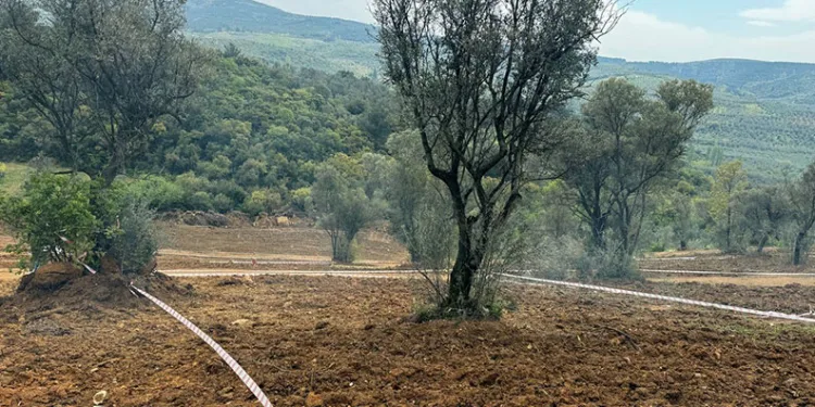 Tarım arazilerinizi koruyun, hisseli satışlara dikkat