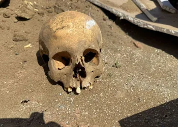 İnşaat işçileri kafatası buldu