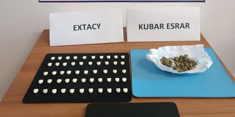 Kastamonu’da aracın çarptığı anne ve yavru ayı telef oldu