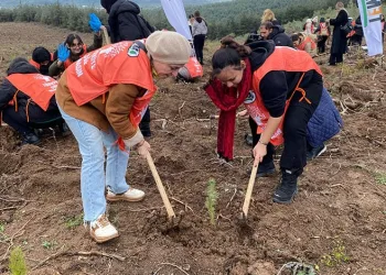 “81 İlde 81 Orman” Projesi kapsamında Bursa’da 10 bin fidan toprakla buluştu