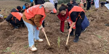 “81 İlde 81 Orman” Projesi kapsamında Bursa’da 10 bin fidan toprakla buluştu