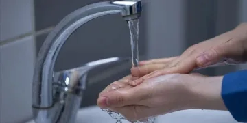 Yeşil dönüşüm devam ediyor