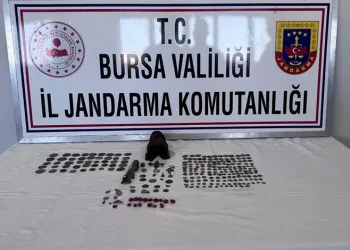 Gemlik’te yavru kediler katledildi