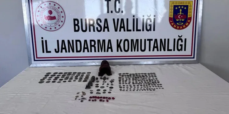Gemlik’te yavru kediler katledildi