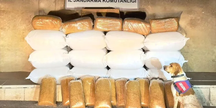 Ayvalık’ta açık unutulan elektrikli ısıtıcı yangın çıkarttı