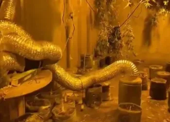 Bursa’da dev uyuşturucu operasyonu