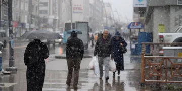 Iğdır’da seyir halindeki aracın üzerine ağaç devrildi, sürücü yaralandı