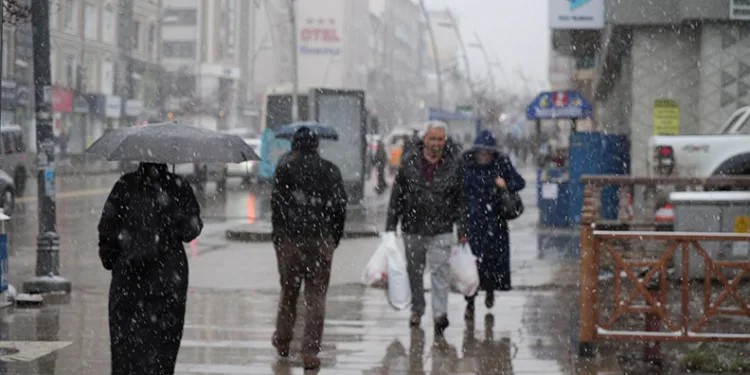 Iğdır’da seyir halindeki aracın üzerine ağaç devrildi, sürücü yaralandı