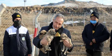 Bakan Yerlikaya’dan şehit polis için taziye mesajı