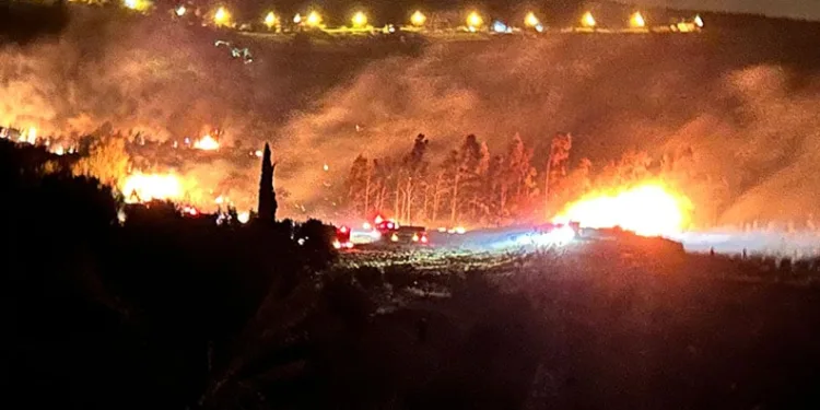 Balıkesir merkezli 6 ilde dolandırıcılık operasyonu: 11 gözaltı