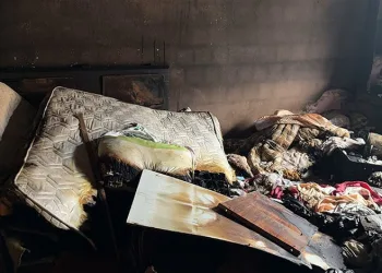 Annesini öldürmek istedi başaramayınca evi ateşe verdi