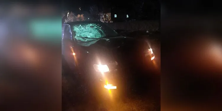 Balıkesir merkezli 5 ilde dolandırıcılık operasyonu