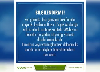 Bursa’da park halindeki otomobil alev topuna döndü