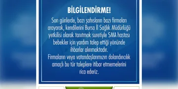 Bursa’da park halindeki otomobil alev topuna döndü