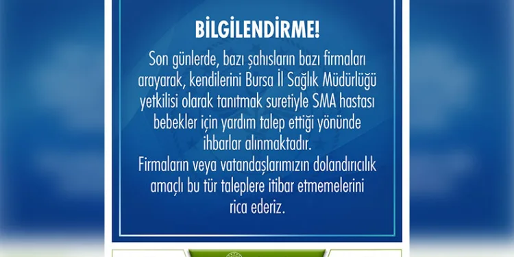 Bursa’da park halindeki otomobil alev topuna döndü