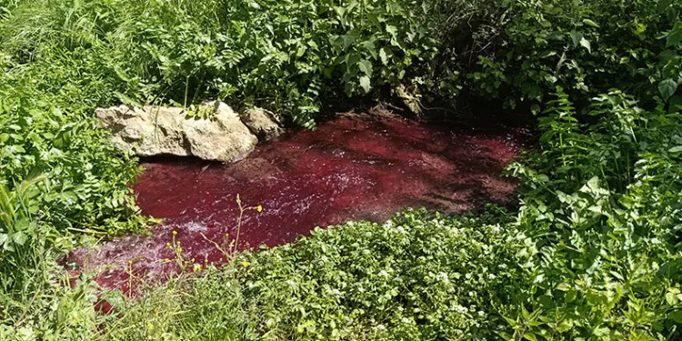Tarımda kriz ve mücadele Nilüfer’de konuşuldu