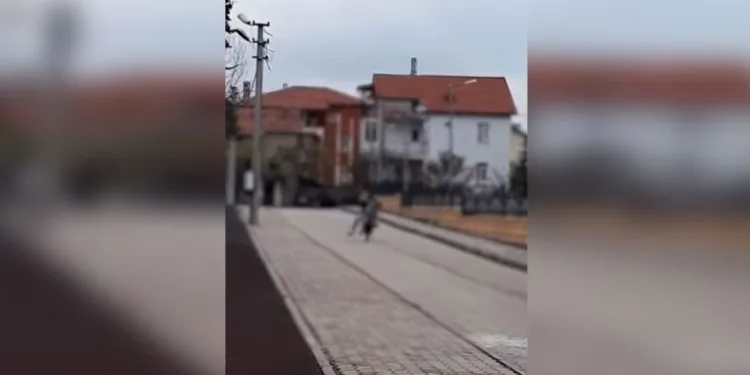 Otomobilden şişe şişe kaçak içki çıktı
