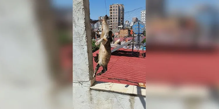 Haber alınamayan şahıs evinde ölü bulundu