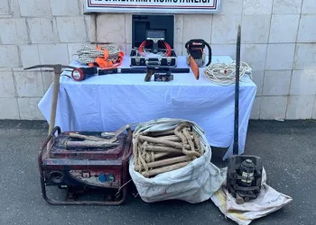 Gemlik’te yavru kediler katledildi