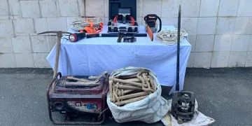 Gemlik’te yavru kediler katledildi