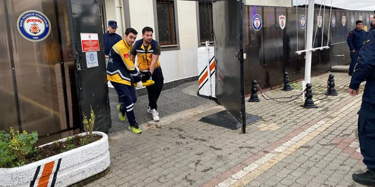 Kuyuya düşen inek iş makinesine bağlanan halatla çıkartıldı