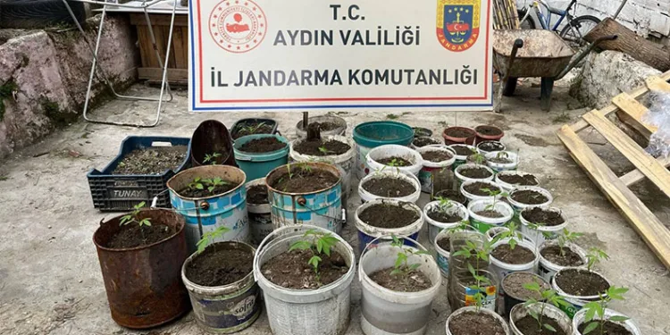 Cumali’yi arama çalışmaları 4’üncü gününde