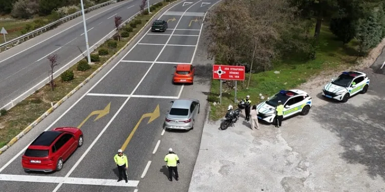 Ayvalık’ta uyuşturucu operasyonunda 28 kök kenevir ele geçirildi