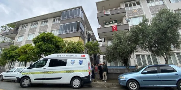 Ayvalık’ta uyuşturucu operasyonunda 28 kök kenevir ele geçirildi