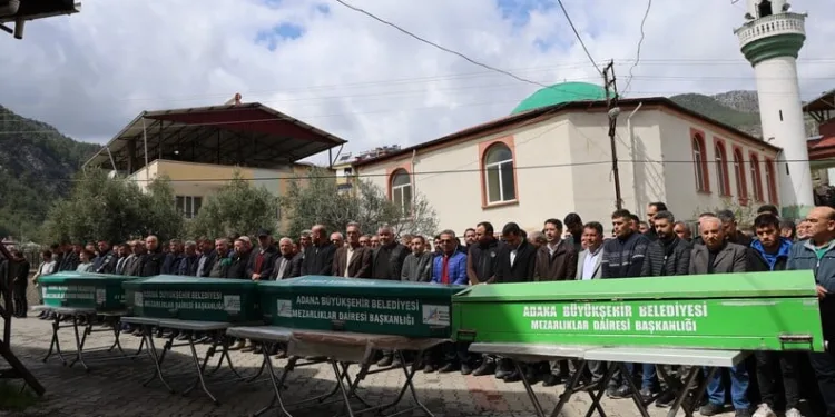 Ayvalık’ta uyuşturucu operasyonunda 28 kök kenevir ele geçirildi