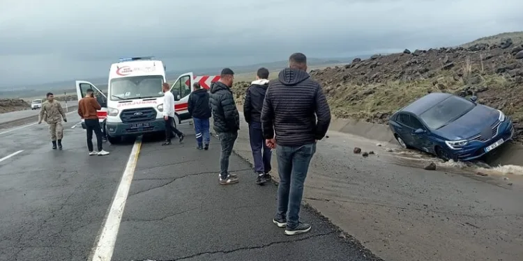 Ayvalık’ta uyuşturucu operasyonunda 28 kök kenevir ele geçirildi