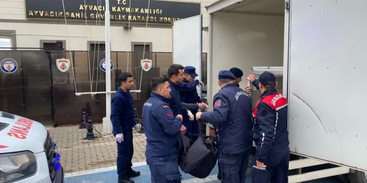 Ayvalık’ta uyuşturucu operasyonunda 28 kök kenevir ele geçirildi